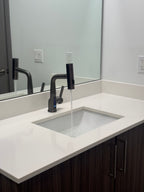 ZenCascade Waterfall & Pull-Out Faucet with Temperature Display in Gun Metal