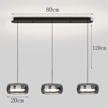 Modern Minimalist Style LED Hanging Chandelier Pendant Light Fixture