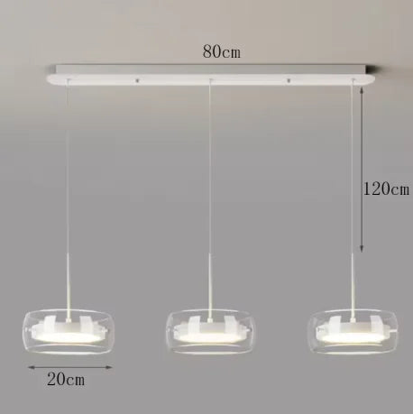 Modern Minimalist Style LED Hanging Chandelier Pendant Light Fixture