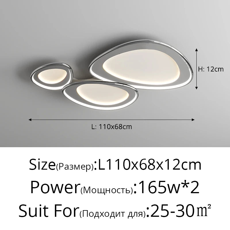 Modern LED Ceiling Light Fixture